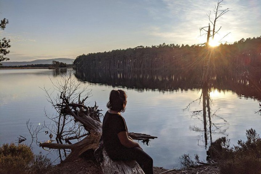 Eine Person sitzt am See mit einem Sonnenuntergang im Hintergrund. 5