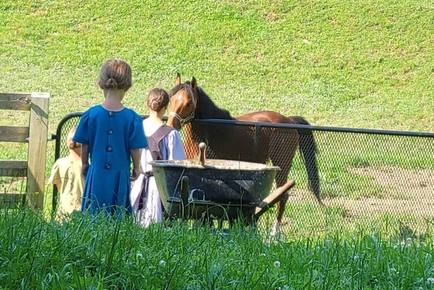 A horse behind a fence, a wheelbarrow, and people standing nearby. 5
