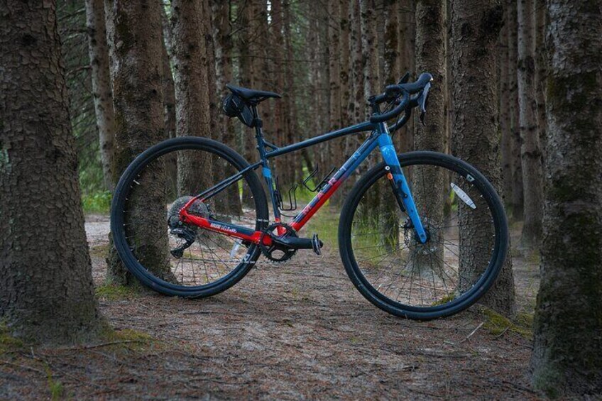 A mountain bike leaning against a tree in a forest. 5
