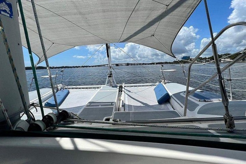 Sunset Sail and Dolphin/Manatee watch in Daytona Beach 5