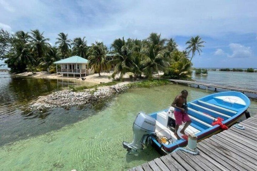 Half Day Reef Snorkel and Wildlife Tour 2