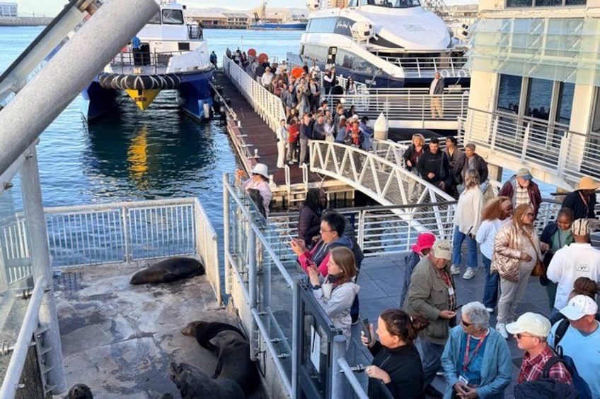 A group of people on a boat docked at a pier, with a large seal resting on the dock. 1