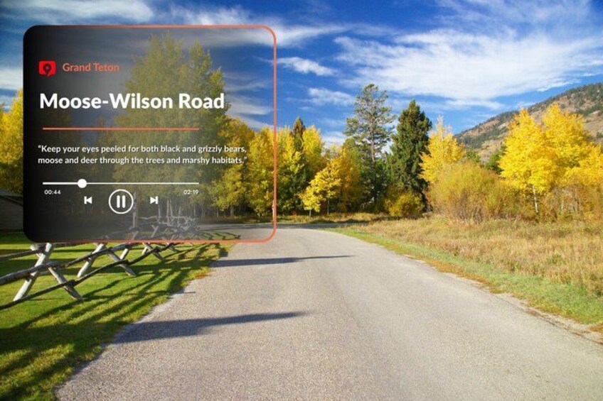 Self-Guided Audio Driving Tour in Grand Teton National Park 4