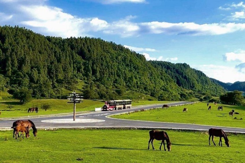 A rural landscape with grazing horses, a road, and a bus. 3
