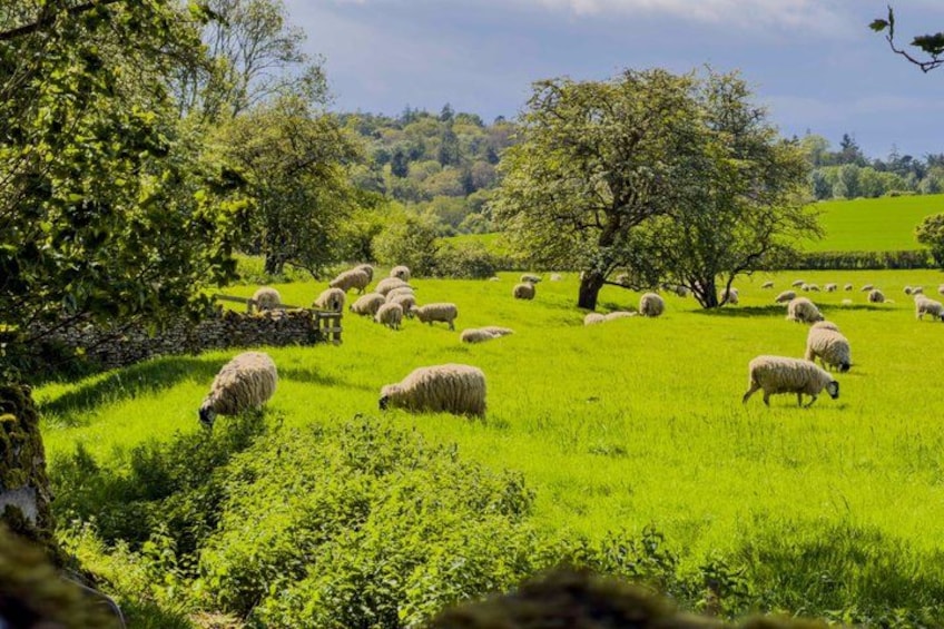 Cotswolds Hidden Gems Private Luxury Local Guide Tour from London 3