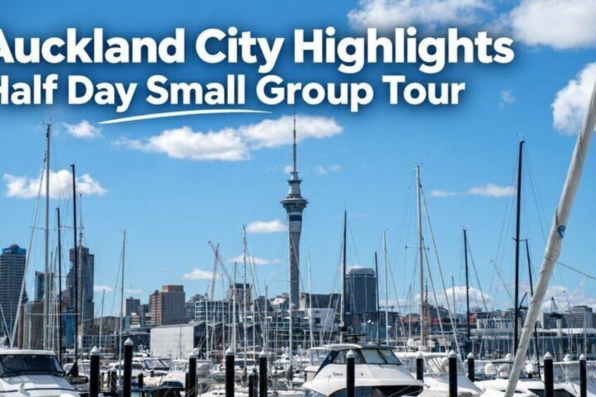 Auckland City Highlights Half Day Small Group Tour 3