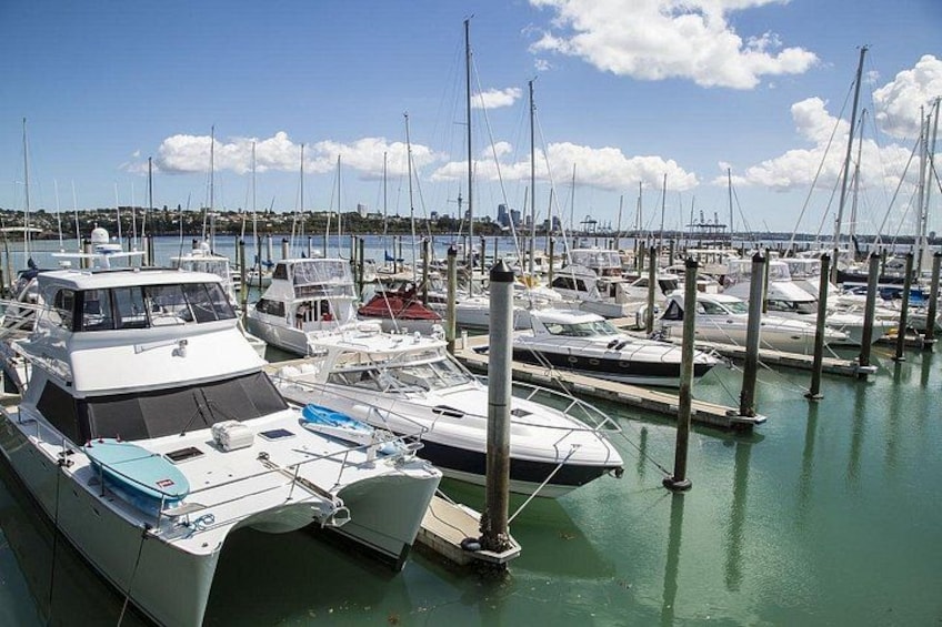 Auckland Essentials Half Day Tour - Devonport & Mt Eden and more 5