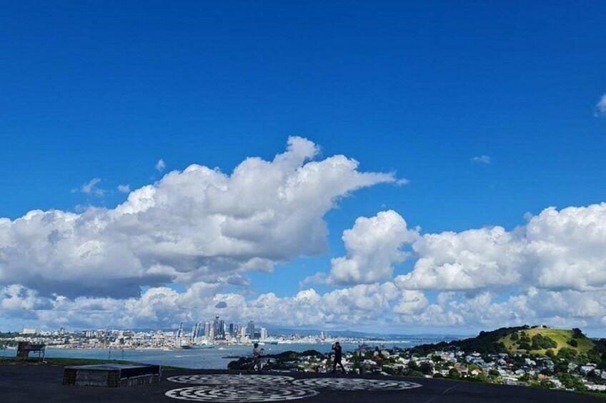 Auckland City Highlights Half Day Small Group Tour 2