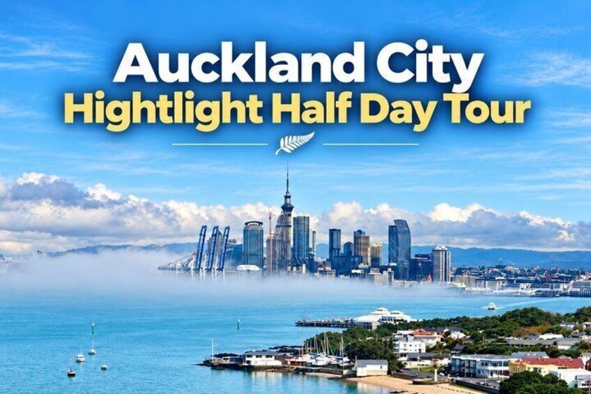 Auckland City Highlights Half Day Small Group Tour 1