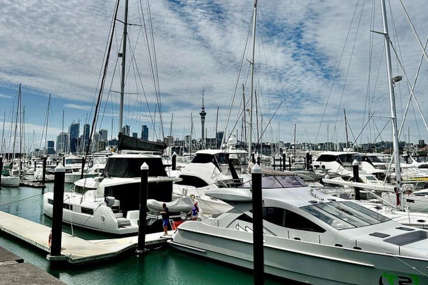 Auckland Essentials Half Day Tour - Devonport & Mt Eden and more 5