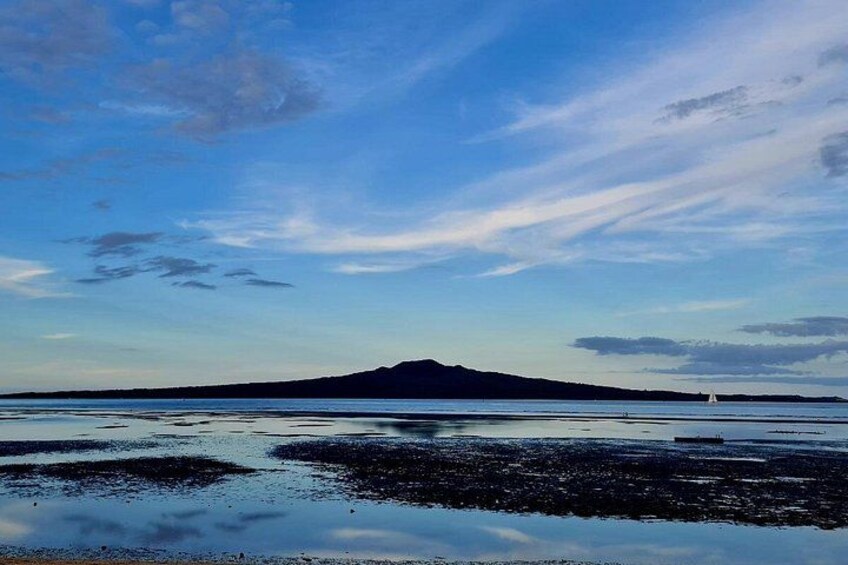 Auckland Essentials Half Day Tour - Devonport & Mt Eden and more 2