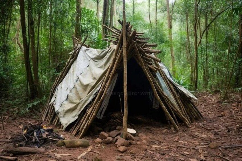 A makeshift shelter in a forest with a dirt floor and surrounding trees. 3