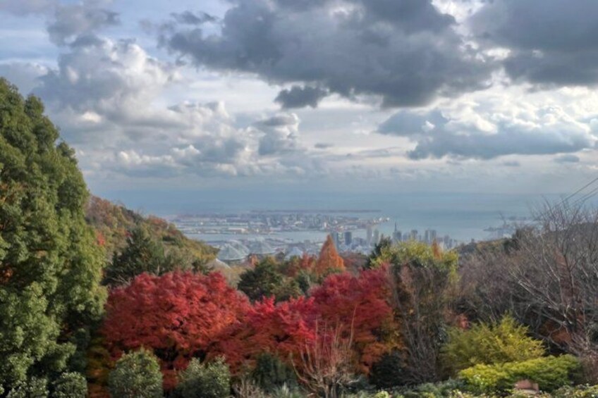 Kobe City Private Tours 3