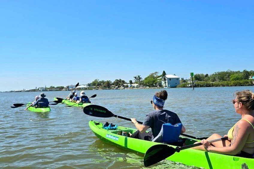 Magic of Nature Guided Kayak Eco Tour 3
