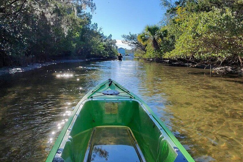 Magic of Nature Guided Kayak Eco Tour 5