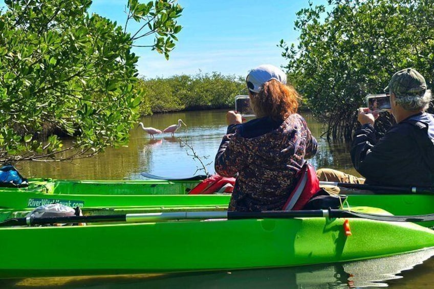 Magic of Nature Guided Kayak Eco Tour 2