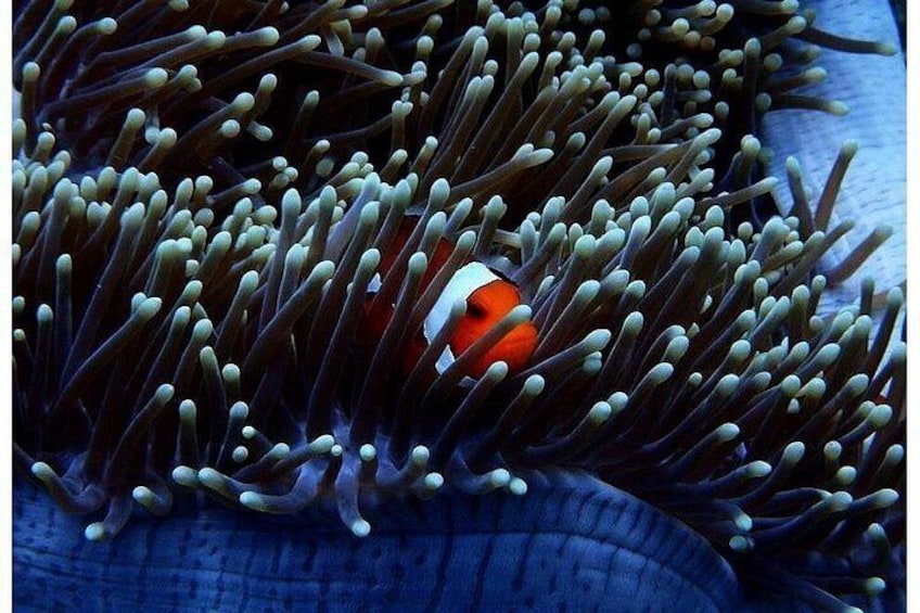 https://media-cdn.tripadvisor.com/media/attractions-splice-spp-720x480/13/27/50/14.jpg 3