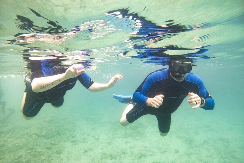 https://media-cdn.tripadvisor.com/media/attractions-splice-spp-720x480/12/f2/07/1c.jpg 2