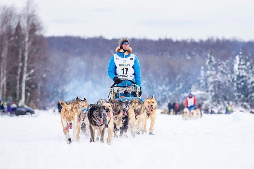 Sled Dog Ride and Scenic Drive from Anchorage 2