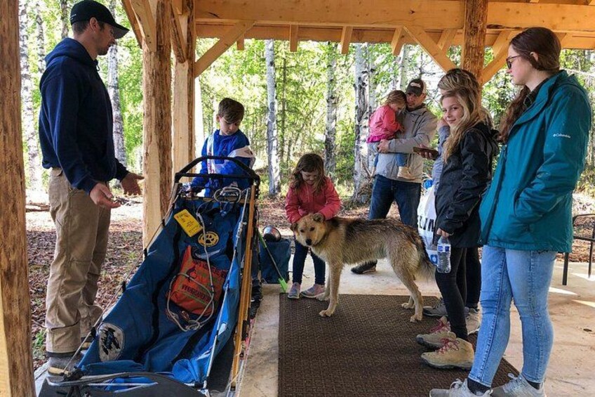 Sled Dog Ride and Scenic Drive from Anchorage 2