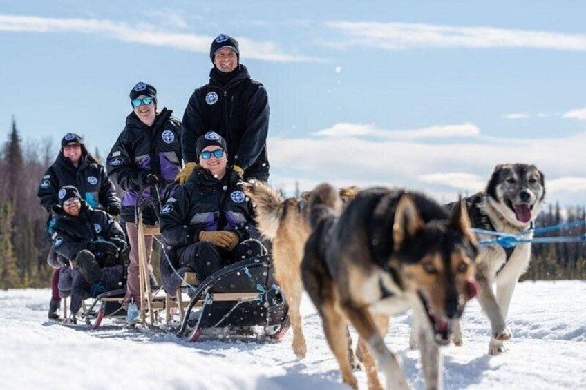 Sled Dog Ride and Scenic Drive from Anchorage 4
