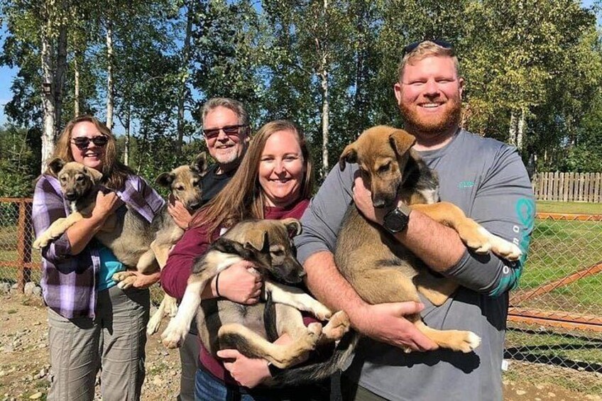 Sled Dog Ride and Scenic Drive from Anchorage 3