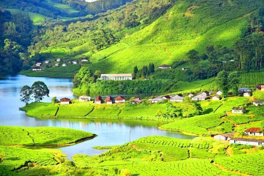 A lush green landscape with terraced fields, a body of water, and scattered houses. 1