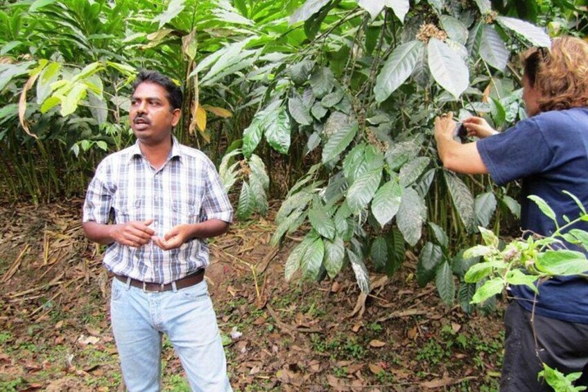 Two individuals in a natural setting, one standing and observing, the other tending to a plant. 2