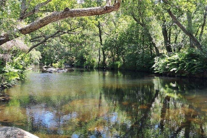 Sierra da Estrela : Mondego Walking Tour - Hidden Stories & Nature 4