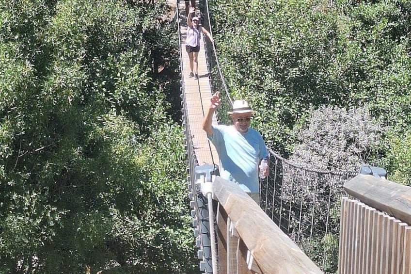 A person on a rope bridge surrounded by trees. 5