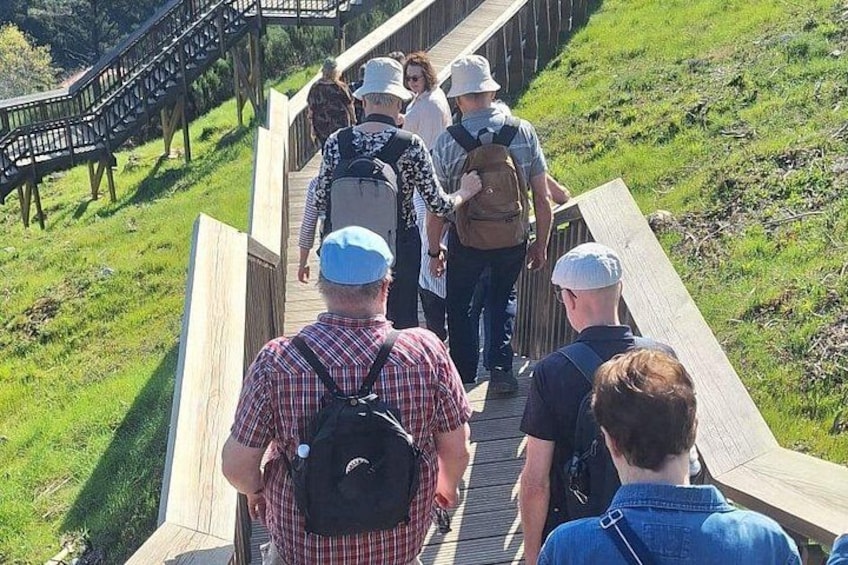 A group of people walking on a wooden boardwalk in a grassy area. 3