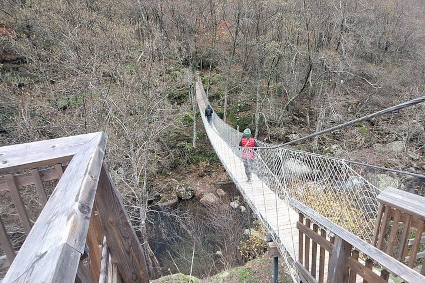 A suspension bridge in a wooded area with a person crossing. 4