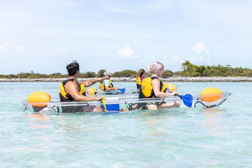 People rowing a boat on clear water with a beach in the background. 4