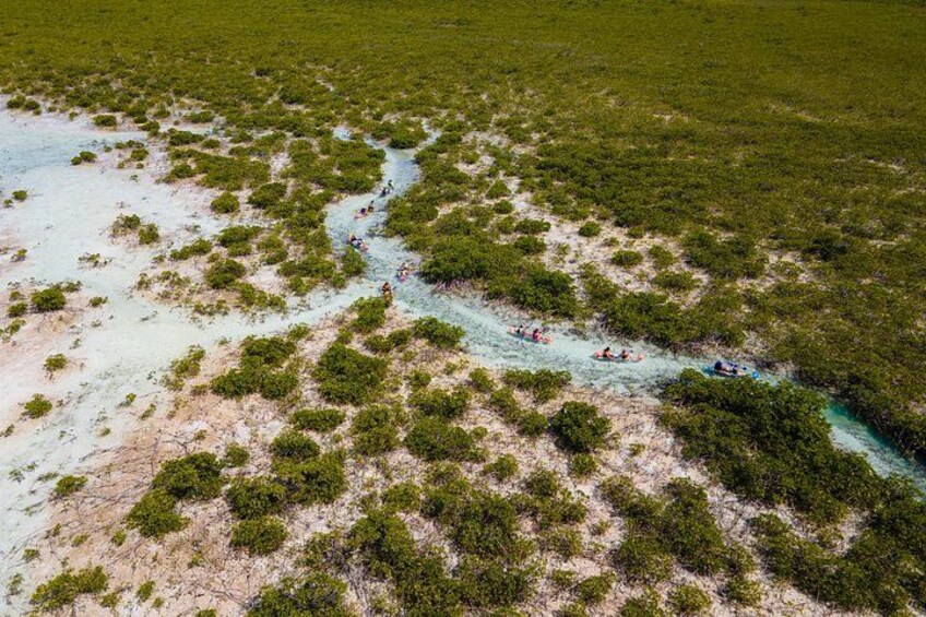 An aerial view of a coastal area with dense vegetation and a narrow water channel. 3