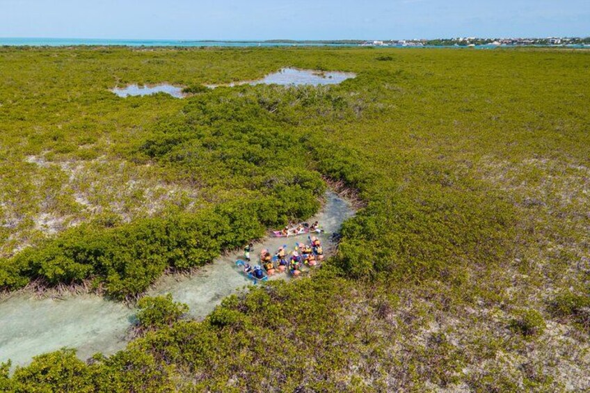 A group of people kayaking on a river surrounded by mangrove vegetation. 1