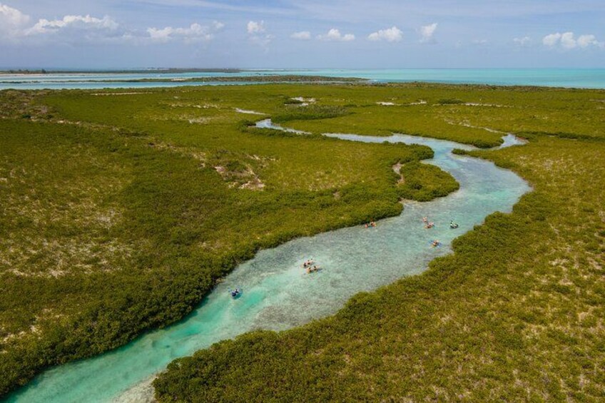 A river winding through a mangrove forest with clear turquoise water and people kayaking. 5