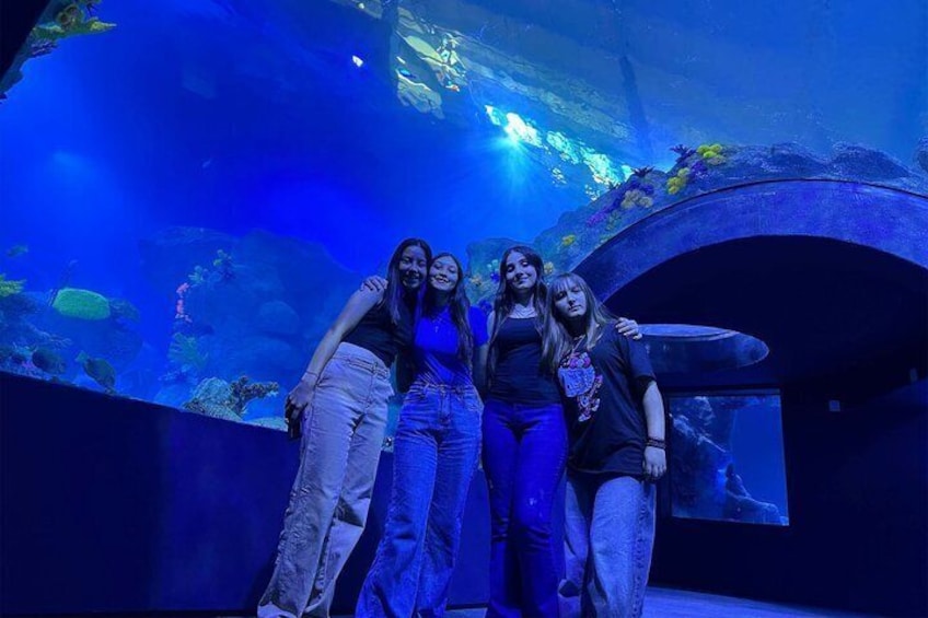 Un aquarium doté de grands réservoirs et abritant une faune marine. 2