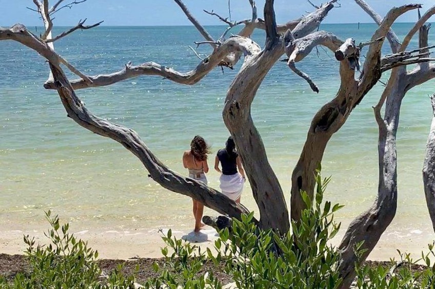 Twee personen staan bij een strand met helder water, omringd door dode takken. 3