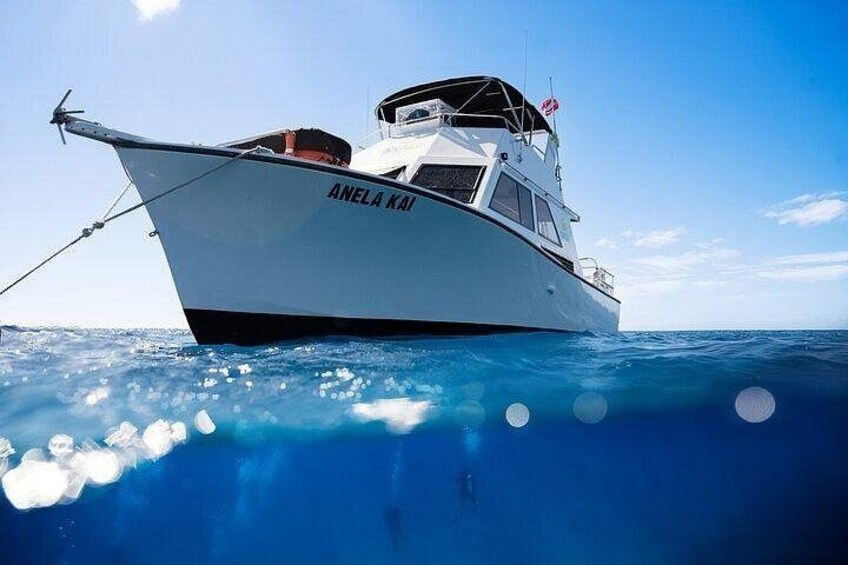 Kauai's Exclusive Morning Scuba Charter for Experienced Divers 3