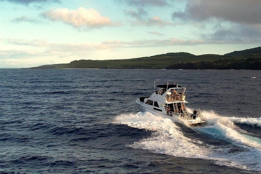 Kauai's Exclusive Morning Scuba Charter for Experienced Divers 3