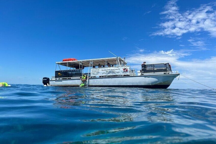 Key Largo Coral Reef Half Day Snorkel Trip 4