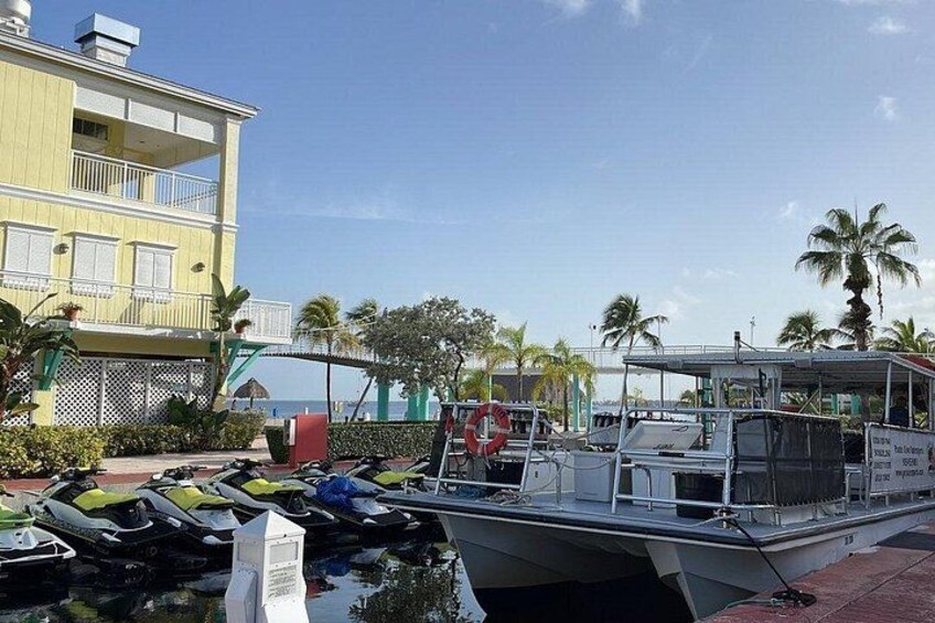 Key Largo Coral Reef Half Day Snorkel Trip 3