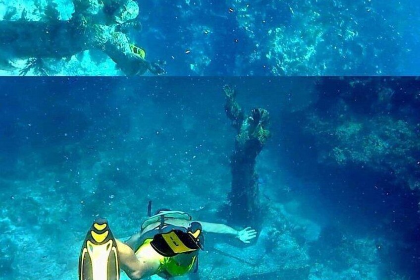 Key Largo Coral Reef Half Day Snorkel Trip 5