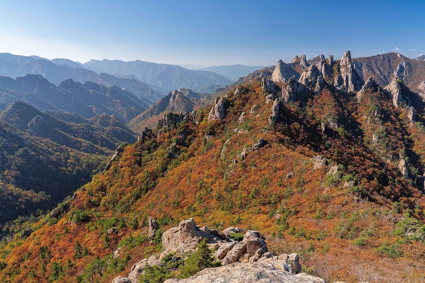 Picture 10 for Activity Seoul: Mt. Seoraksan National Park Autumn Foliage Day Tour 3