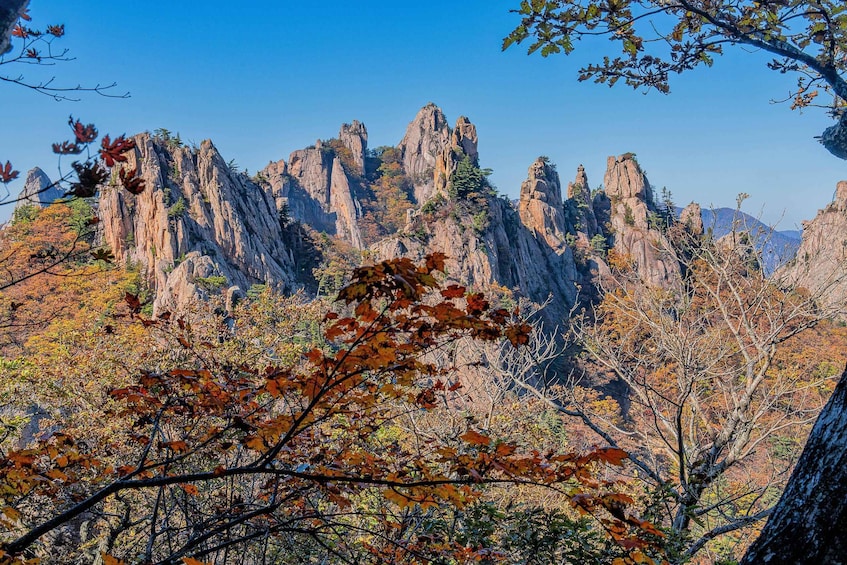 Picture 9 for Activity Seoul: Mt. Seoraksan National Park Autumn Foliage Day Tour 2