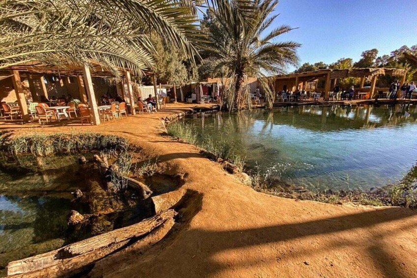 A riverside walkway with palm trees, a wooden bridge, and outdoor seating areas. 3