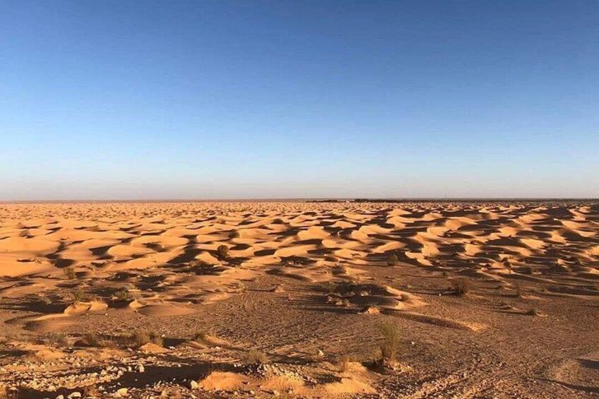 A vast desert landscape with sand dunes under a clear sky. 1