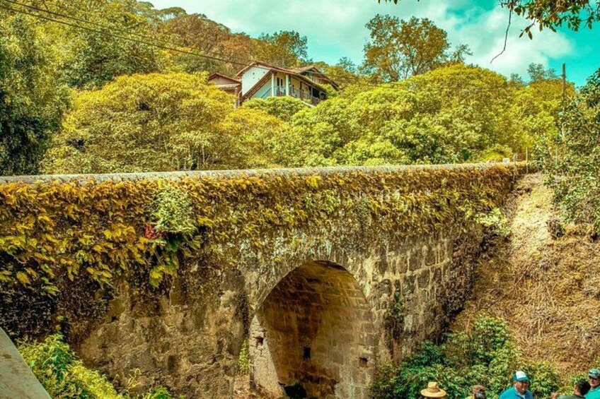 A stone bridge with vegetation overgrown on its sides, a house in the background, and a hilly landscape. 3
