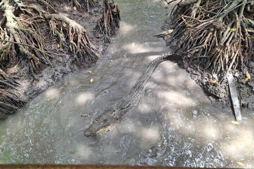 Un fiume fangoso con radici e un tronco nell'acqua. 2