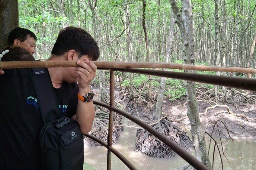 Una persona in piedi dietro a una ringhiera di legno, che osserva una foresta di mangrovie. 3